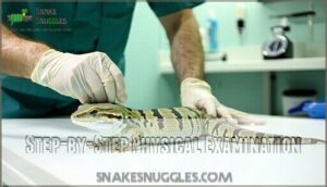 step-by-step physical examination