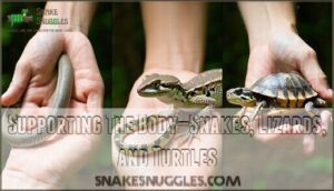 supporting the body—snakes, lizards, and turtles