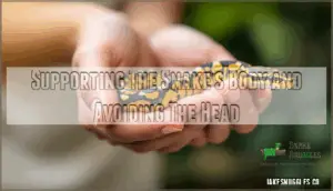 supporting the snake’s body and avoiding the head