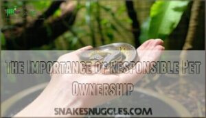 the importance of responsible pet ownership