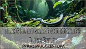 trang blind snake and roxane’s blind snake