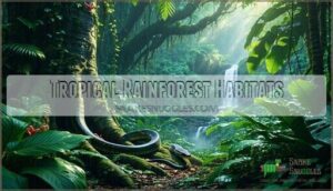 tropical rainforest habitats