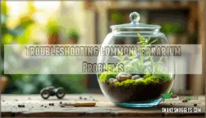 troubleshooting common terrarium problems