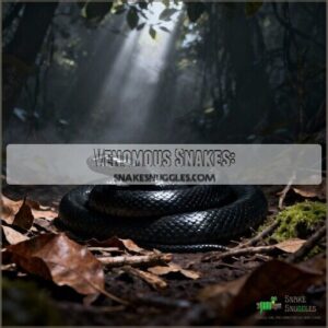 venomous snakes: