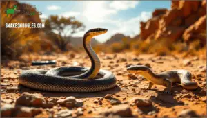 venomous snakes in australia
