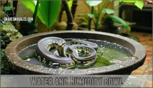 water and humidity bowl