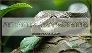 what emotions can snakes experience