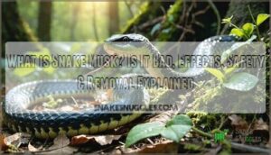 what is snake musk is it bad