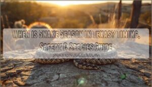 when is snake season in texas