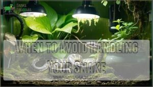 when to avoid handling your snake