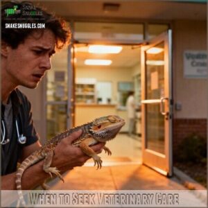when to seek veterinary care