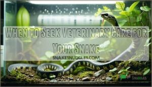 when to seek veterinary care for your snake