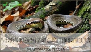 where are copperheads commonly found