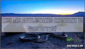 why are rattlesnakes important to ecosystems