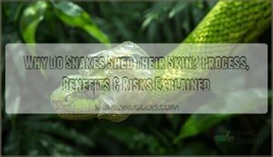 why do snakes shed skin