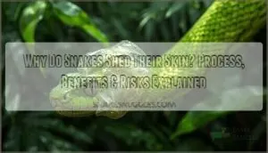 why do snakes shed skin why do snakes shed skin