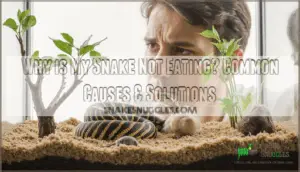why is my snake not eating