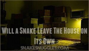 will a snake leave the house on its own