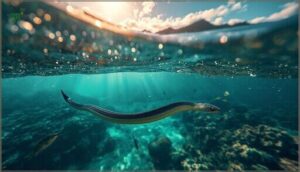 yellow-bellied sea snake