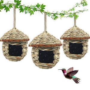 3 Pack Hummingbird House, Hand B08NPHTW9L