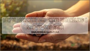 acclimating your snake to handling