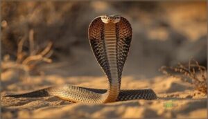 aggressive and defensive postures