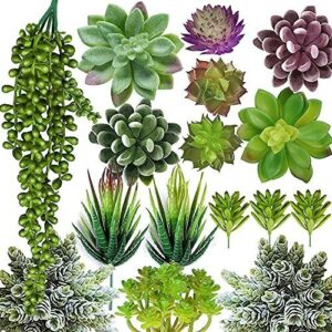 Anoak Artificial Succulent Plants   B08NJWG5MV