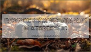 are king snakes poisonous are king snakes poisonous