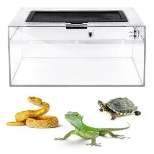 AZV Reptile PC Tank Terrarium B0D6VP9TSM