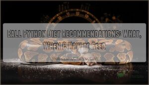 ball python diet recommendations
