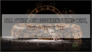 ball python diet recommendations ball python diet recommendations