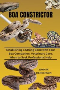 BOA CONSTRICTOR: Establishing a Strong B0D11FV6K2