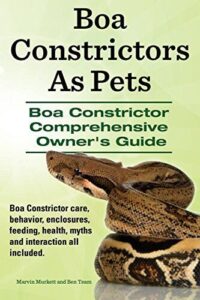 Boa Constrictors As Pets. Boa 1910941379