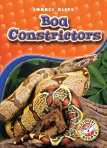 Boa Constrictors (Blastoff! Readers: Snakes 1600143148