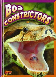 Boa Constrictors (Slithering Snakes) 1623102715