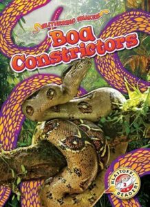 Boa Constrictors (Slithering Snakes) B0CW26HNTV