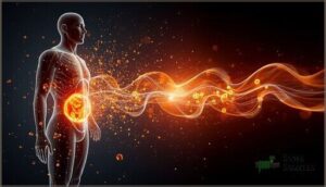 calorie restriction and fat burning