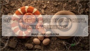 corn snake genetics visual versus het