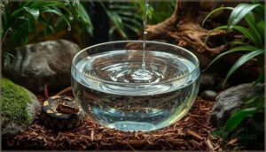creating a hydration station for your ball python creating a hydration station for your ball python