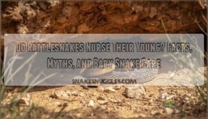 do rattlesnakes nurse their young do rattlesnakes nurse their young