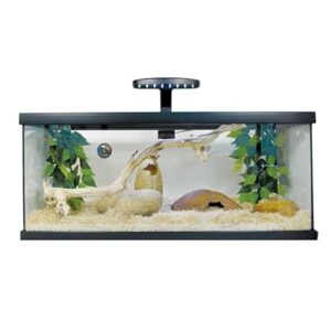 Exo Terra Snake Starter Kit B01M9GGJFL