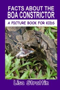 Facts About The Boa Constrictor 1533284881