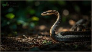 head fanning and neck flattening head fanning and neck flattening