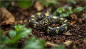 identifying and managing garden snakes