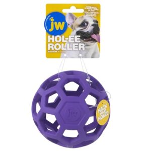 JW Pet Hol ee Roller Dog B0002DJX44