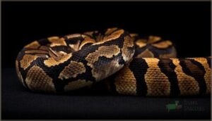 motley and pattern mutations