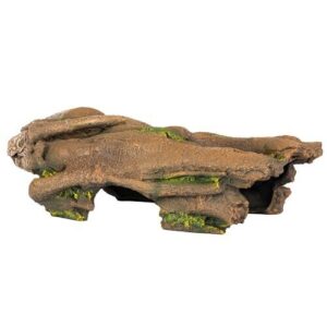 Orchid Valley Lizard, Snake or B0CGH1SLQP