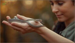 proper handling and socialization