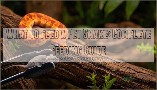 What to Feed a Pet Snake: Complete Feeding Guide
