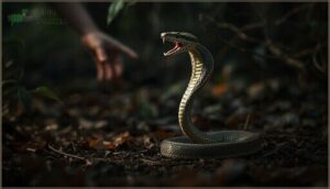 when to avoid handling altogether